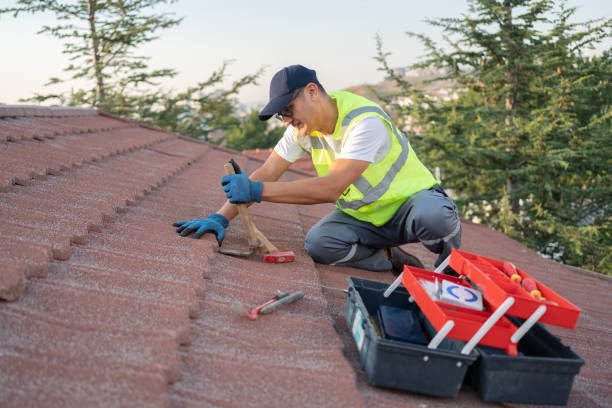 Roof Gutter Cleaning in St Peter, WI