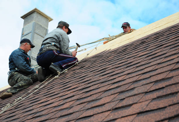 Quick and Trustworthy Emergency Roof Repair Services in St Peter, WI