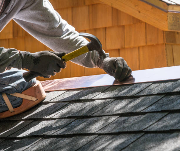 Best Roof Gutter Cleaning  in St Peter, WI